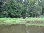 IMG 4458